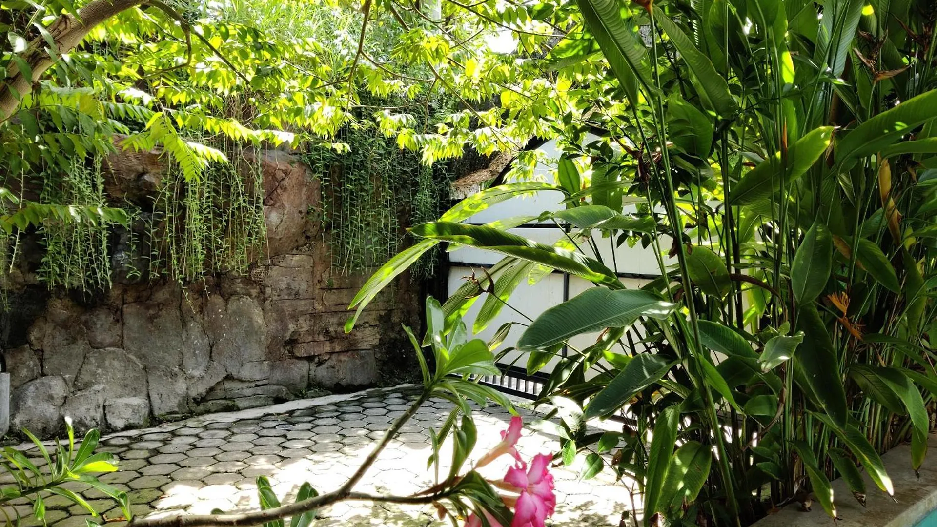 Casa Yenny Balinese Style Villa By Sunnyrent - Seminyak X Kuta X Canggu  Seminyak (Bali)